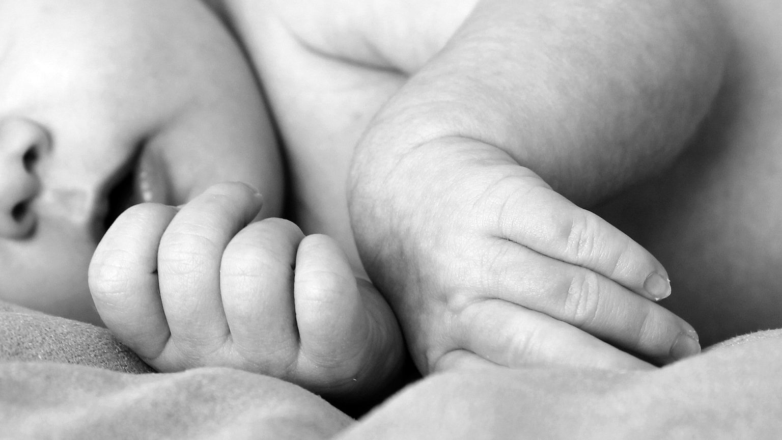 Vítimas de bebés roubados pedem censo de desaparecidos