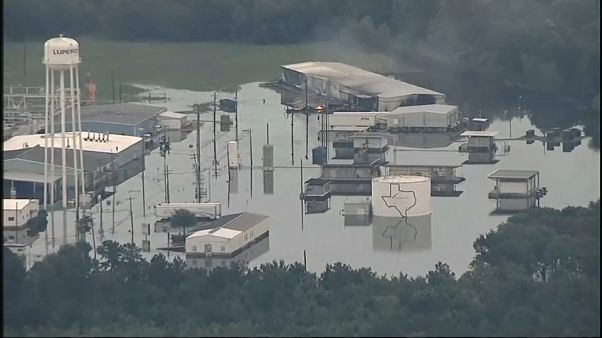 Texas: Explosionen in Chemiefabrik im Hochwassergebiet Texas: Explosionen in Chemiefabrik im Hochwassergebiet