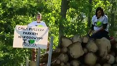 Polen fällt Bäume in Europas letzem Urwald