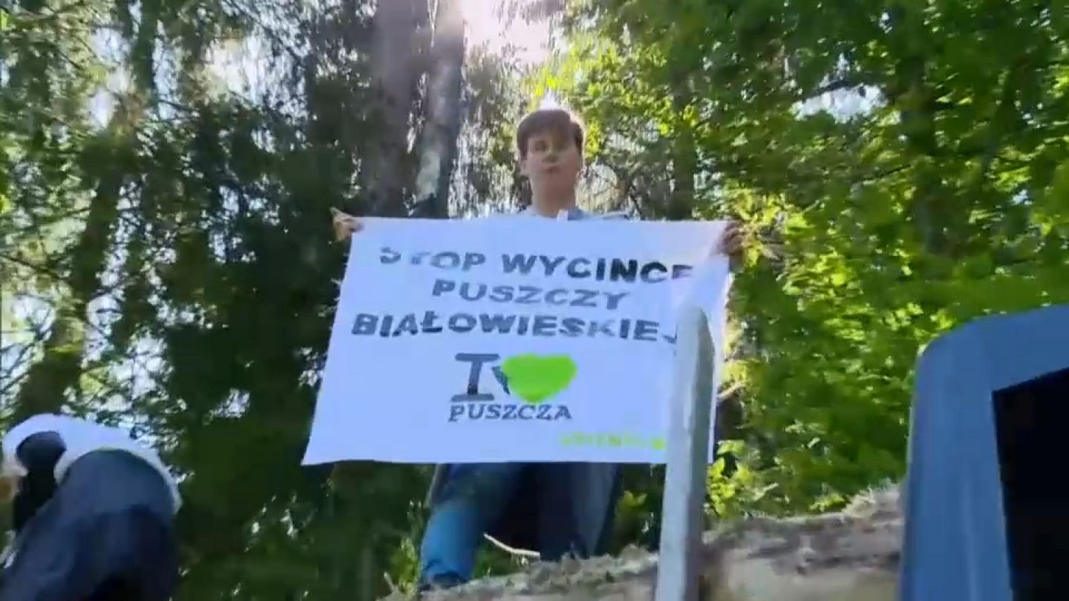 Polonia desafía a Europa con el bosque de Bialowieza