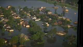 Harvey: búsqueda de supervivientes y de dinero