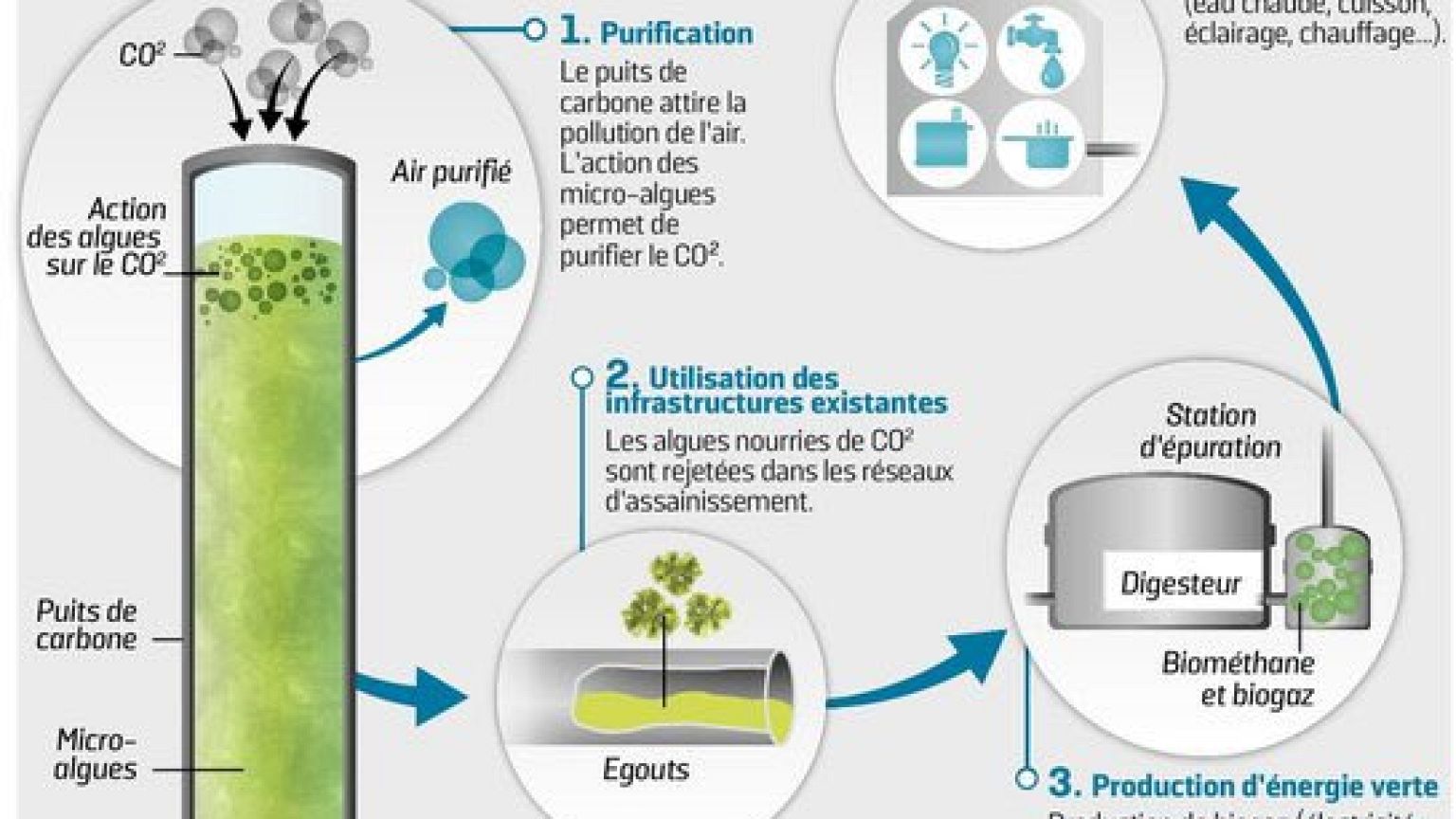 Microalgas para transformar a poluição em oxigénio