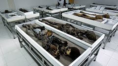 Mummies feel impact of climate change, say researchers