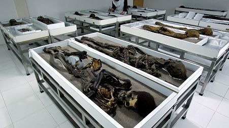 Mummies feel impact of climate change, say researchers