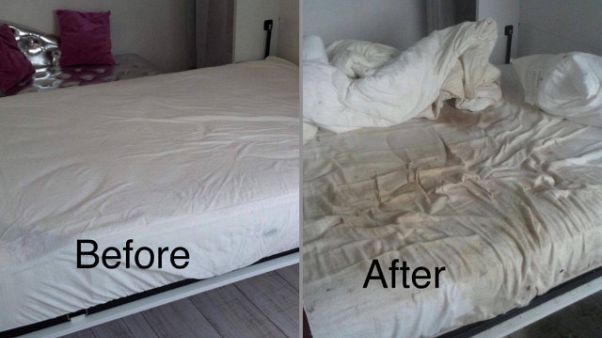 Is this the world’s worst Airbnb guest? Is this the world’s worst Airbnb guest?