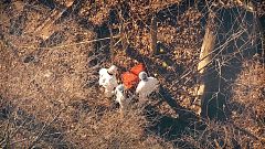 Image: Greenwich Connecticut murder