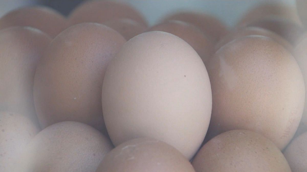 AB bakanları zehirli yumurta krizini görüşüyor