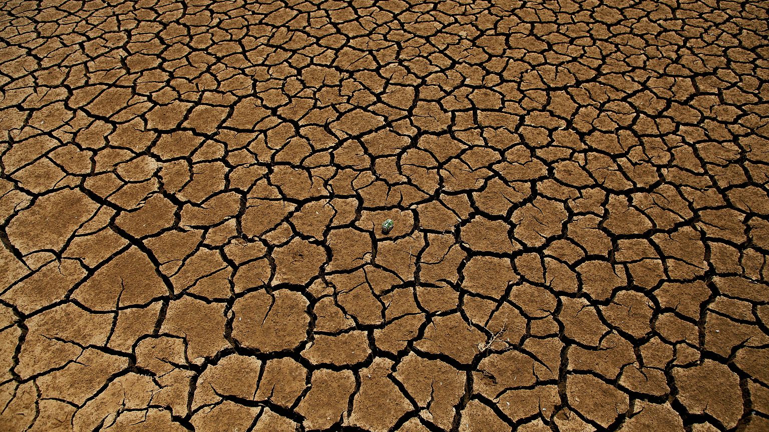 Do these graphs show climate change is happening in Europe?