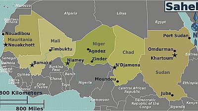 "Un plan Marshall" pour la sécurité au Sahel (experts)