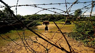 میانمار مین‌گذاری مرز خود با بنگلادش را تکذیب کرد