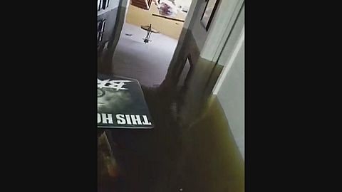 "Harvey" verschont Hochzeitskleid