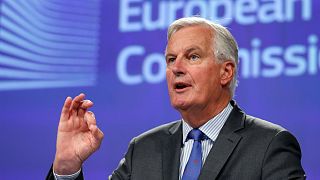 EU's Barnier 'worried' by UK's position on Irish border