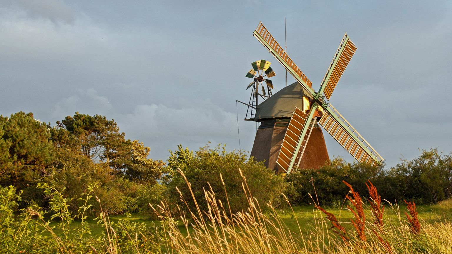 Schleswig-Holstein: Landwirte werden zu Energiewirten