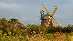 Schleswig-Holstein: Landwirte werden zu Energiewirten