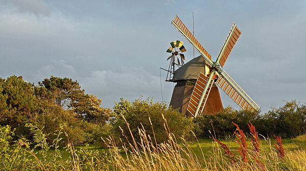 Schleswig-Holstein: Landwirte werden zu Energiewirten Schleswig-Holstein: Landwirte werden zu Energiewirten