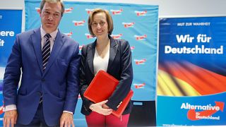 Farage talks Brexit at German far-right rally