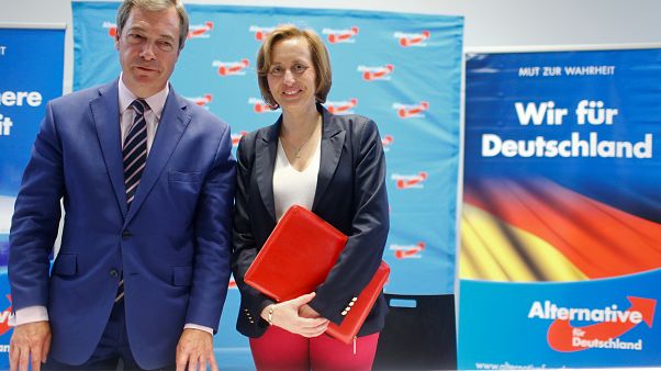 AfD im Wahlkampf: Farage kommt nach Berlin AfD im Wahlkampf: Farage kommt nach Berlin
