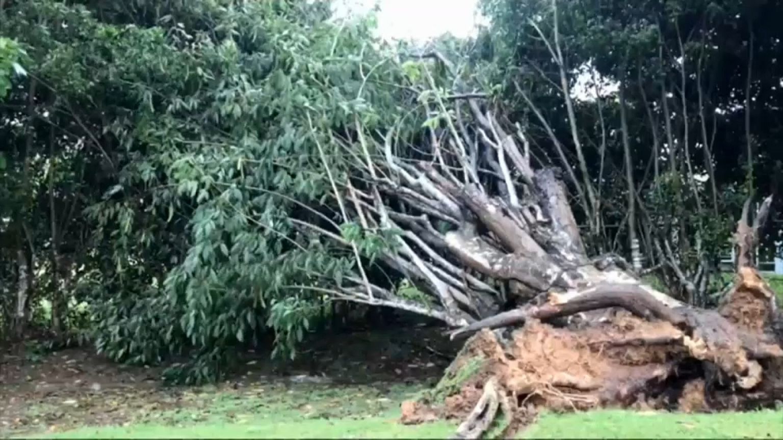 Irma : les explications d'un climatologue