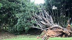 Irma : les explications d'un climatologue