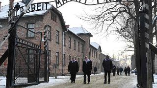 Image: 190127-cipora-feivlovich-holocaust-cs-925a.jpg