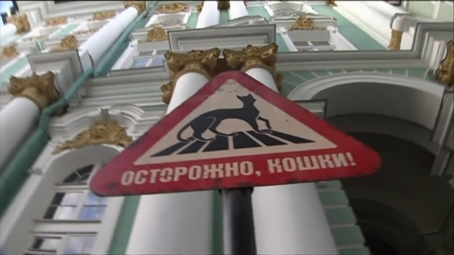 Russia: incendio all'Ermitage, quattro gatti intossicati