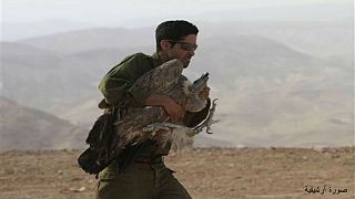 إسرائيل تستعيد جاسوسها الطائر من أيدي المعارضة السورية