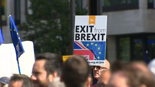 Pro-EU protest in London calls for an end to Brexit