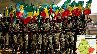 Ethiopia govt working to resolve Oromia, Somali region security crisis