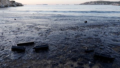 Σαλαμίνα: Μάχη με το χρόνο για να σωθεί το περιβάλλον