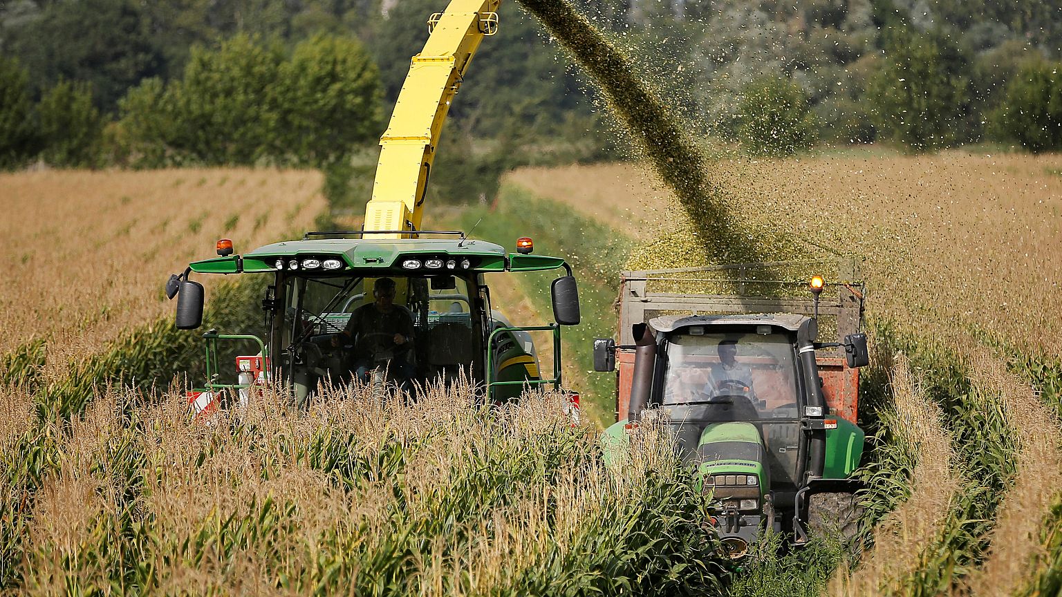 Ogm: Corte Ue dà torto all'Italia, stop coltivazioni solo con rischi certi