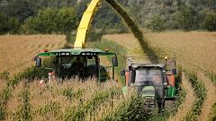 Ogm: Corte Ue dà torto all'Italia, stop coltivazioni solo con rischi certi