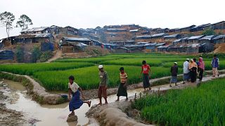 UN urges Myanmar to end violence against Rohingyas