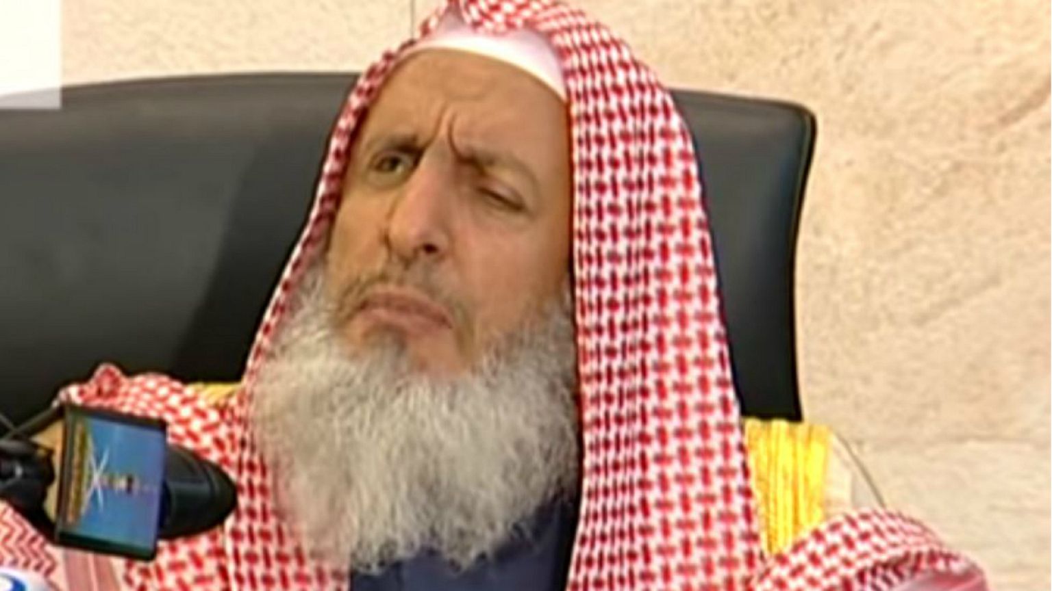 مفتي السعودية يحذر من مخاطر الاستجابة لدعوات "حراك 15 سبتمبر"