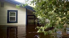 Több milliárd dolláros kár Floridában Irma után