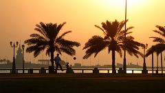 هل بدأ الشيخ سلمان العودة إضرابا عن الطعام داخل السجن؟