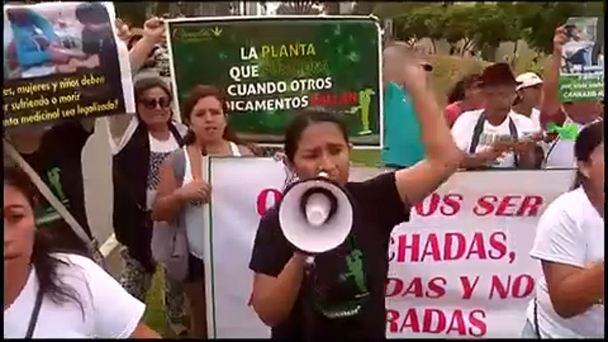 Peru mais perto de legalizar canábis para fins terapêuticos