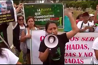 A joint decision: Peru moves closer to medical marijuana legalisation