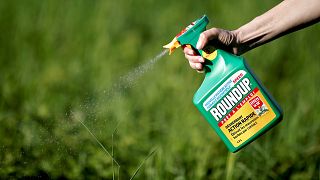 Image: FILE PHOTO: A woman uses a Monsanto's Roundup weedkiller spray witho