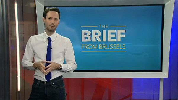 La ciberseguridad, eje central del programa "The Brief" sobre la actualidad de la Unión Europea La ciberseguridad, eje central del programa "The Brief" sobre la actualidad de la Unión Europea