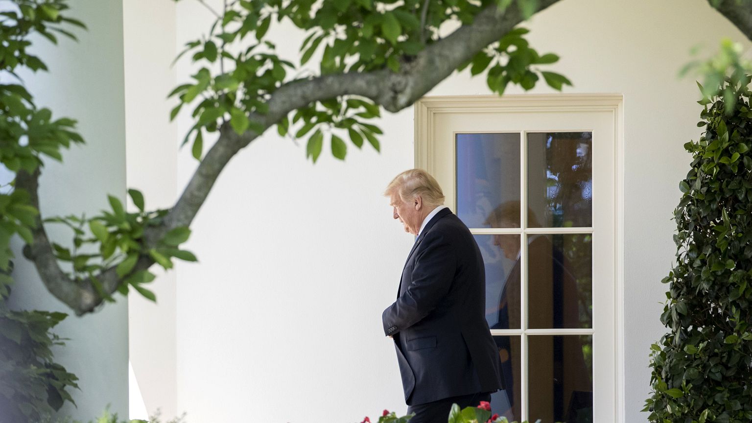 Image: Donald Trump