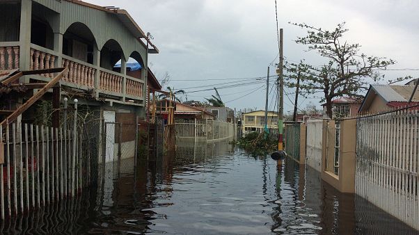 Puerto Rico: Das Erbe von "Maria" Puerto Rico: Das Erbe von "Maria"