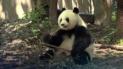 Tourism that's good for the planet and its inhabitants