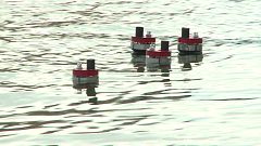Takeaway: The underwater swarm