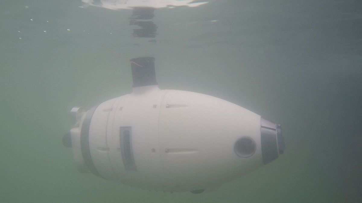 Underwater robots monitor Venice lagoon