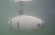 Roboter-Schwarm im trüben Wasser von Venedig