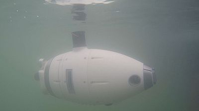 Roboter-Schwarm im trüben Wasser von Venedig