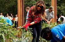 اولین حضور ملانیا ترامپ در باغچه میشل اوباما