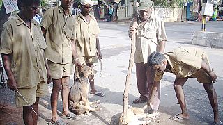 مهربون يسرقون كلابا من أصحابها لبيعها كلحوم في الهند