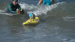 Des chiens surfent pour leur cause