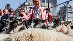 Pflege alter Traditionen